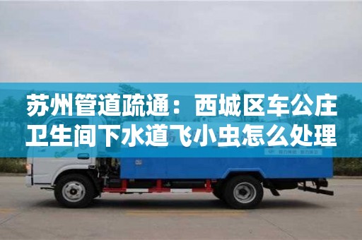 長沙蘇州管道疏通：西城區車公莊衛生間下水道飛小蟲怎么處理
