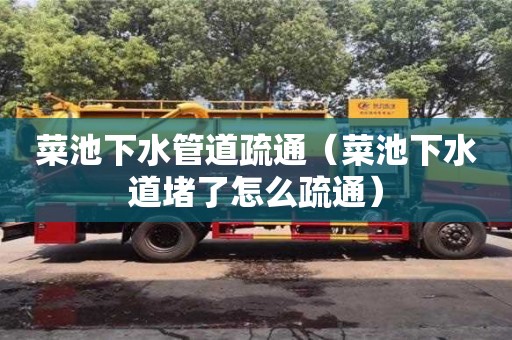 重慶菜池下水管道疏通（菜池下水道堵了怎么疏通）