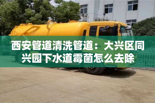 天津西安管道清洗管道：大興區(qū)同興園下水道霉菌怎么去除