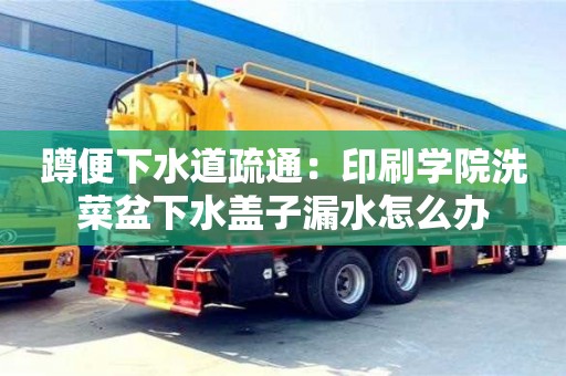 北京蹲便下水道疏通：印刷學(xué)院洗菜盆下水蓋子漏水怎么辦