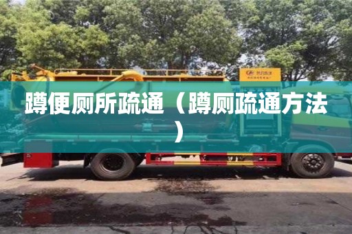北京蹲便廁所疏通（蹲廁疏通方法）