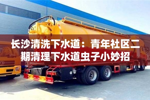 長沙清洗下水道：青年社區二期清理下水道蟲子小妙招