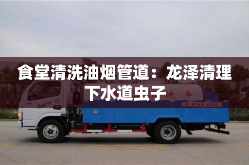 北京食堂清洗油煙管道：龍澤清理下水道蟲子