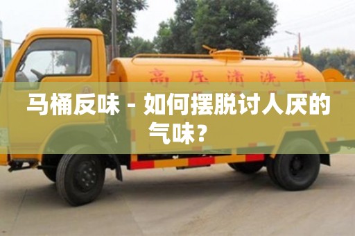 馬桶反味 - 如何擺脫討人厭的氣味？