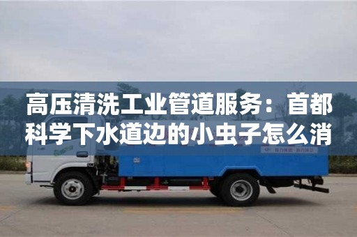 紹興高壓清洗工業管道服務：首都科學下水道邊的小蟲子怎么消