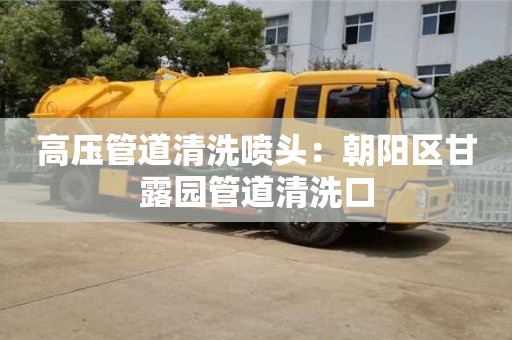 北京高壓管道清洗噴頭：朝陽區甘露園管道清洗口