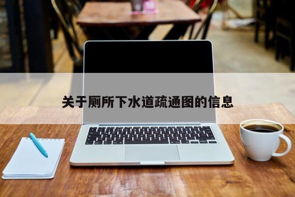 廈門關于廁所下水道疏通圖的信息