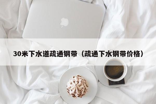 廈門30米下水道疏通鋼帶（疏通下水鋼帶價(jià)格）
