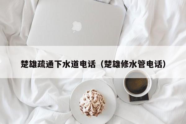 廈門楚雄疏通下水道電話（楚雄修水管電話）